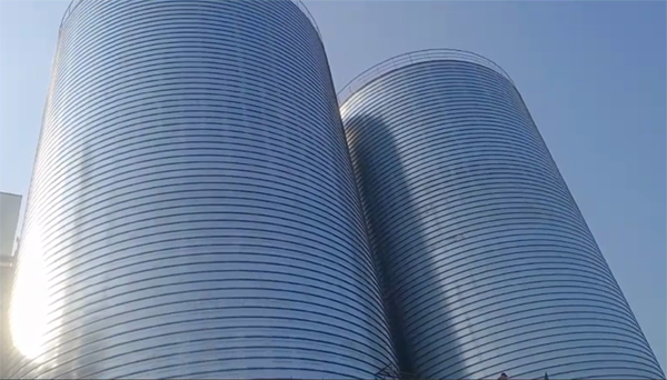 顺河回族2座混凝土高架卷板仓